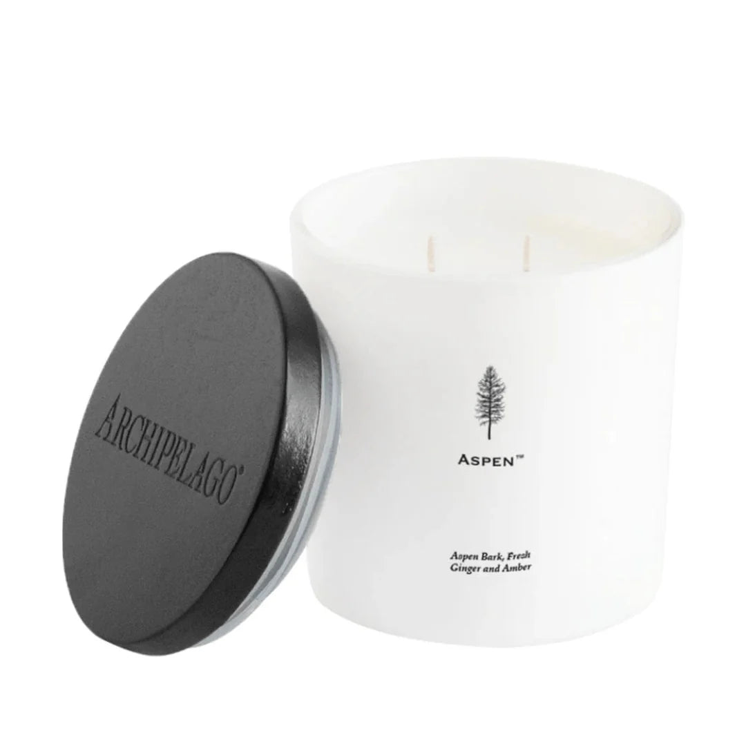 DW 2wick Archipelago candle w/lid