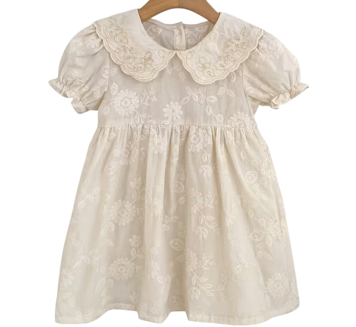 BT 100% cotton Broderie Anglaise