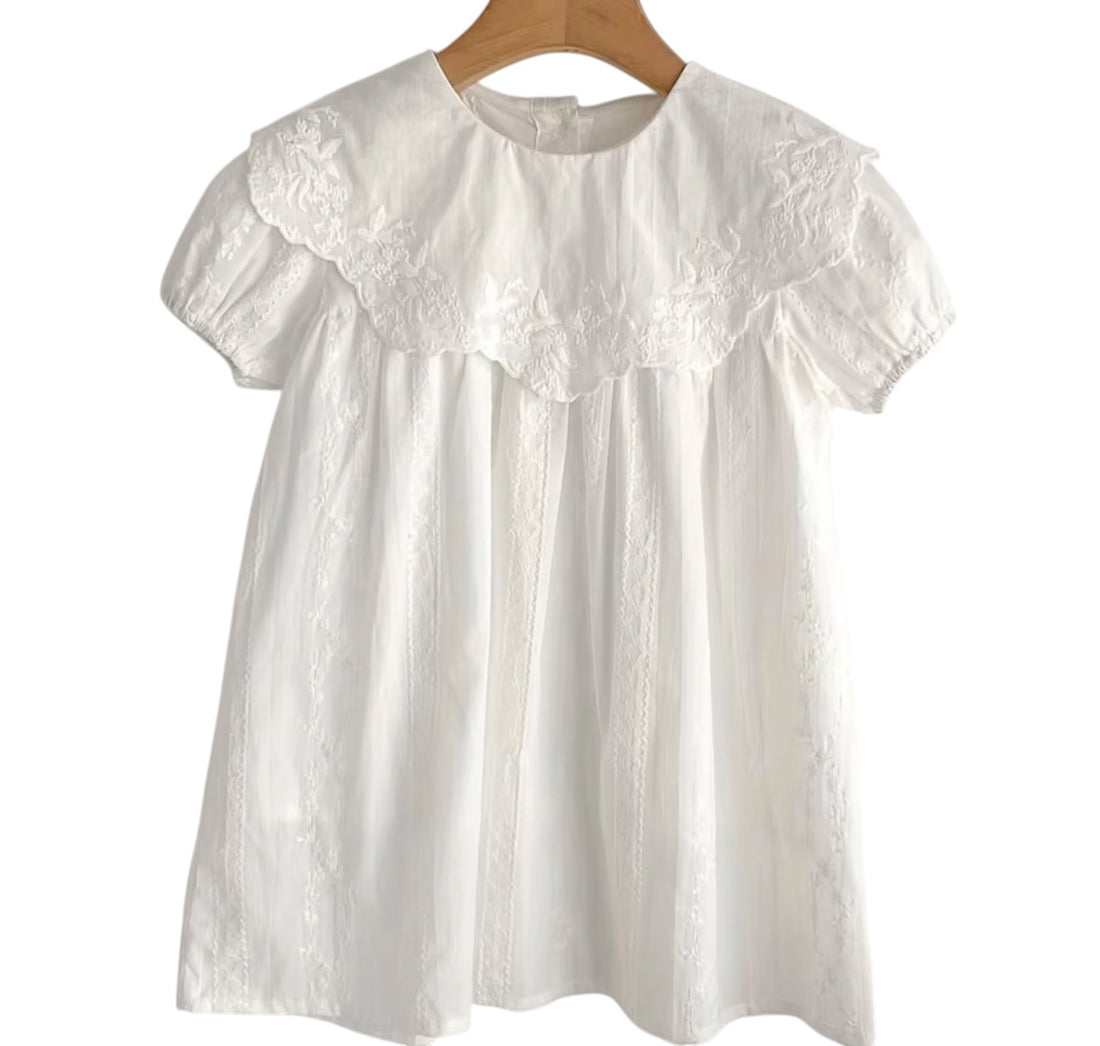 BT 100% cotton Broderie Anglaise