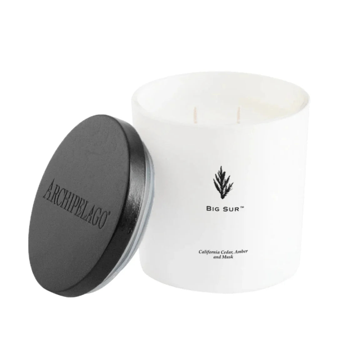 DW 2wick Archipelago candle w/lid