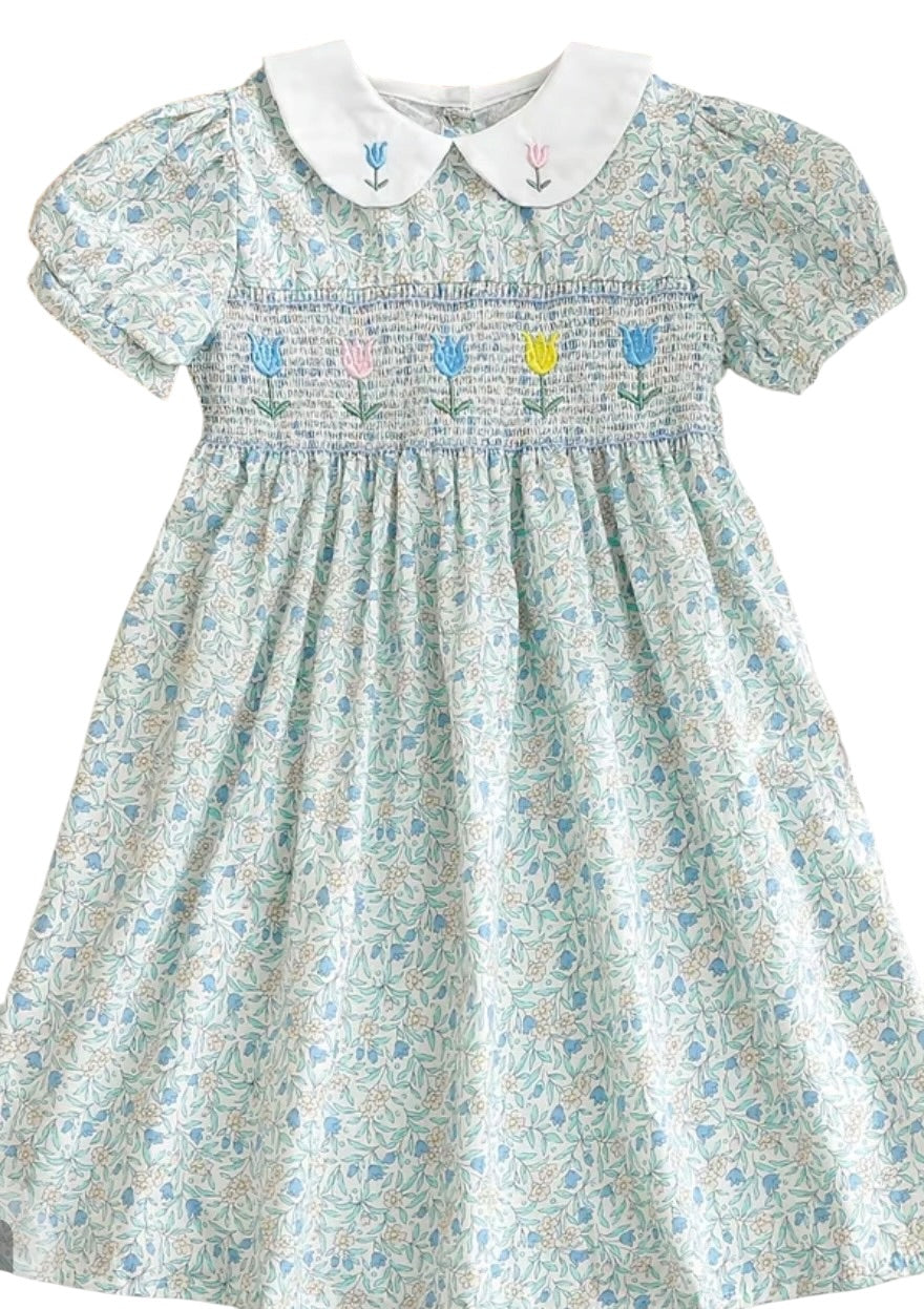 BT Peter pan collar dress embroidered
