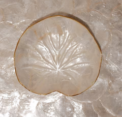 BA Artisan Mother of Pearl / ceramic