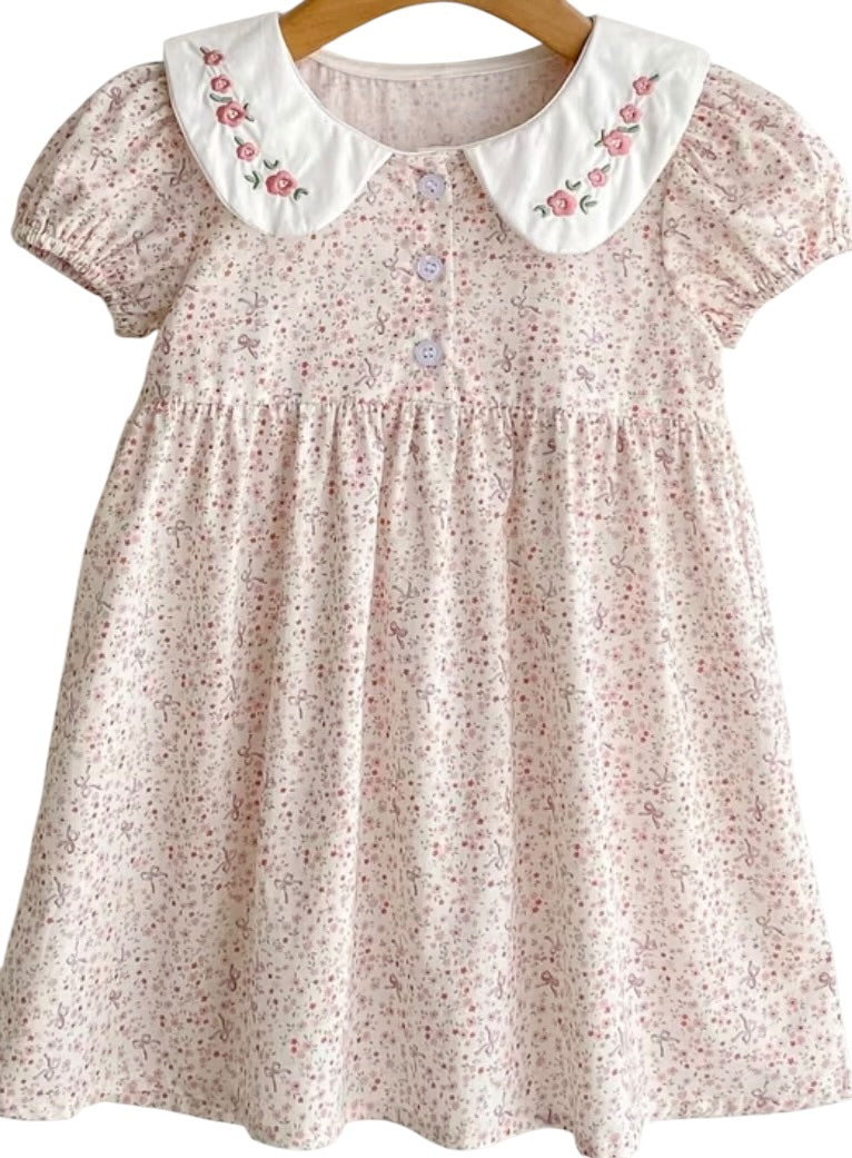 BT Peter pan collar dress embroidered