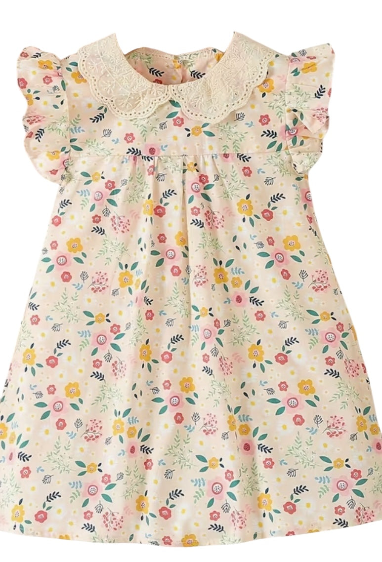 BT Peter pan collar dress embroidered
