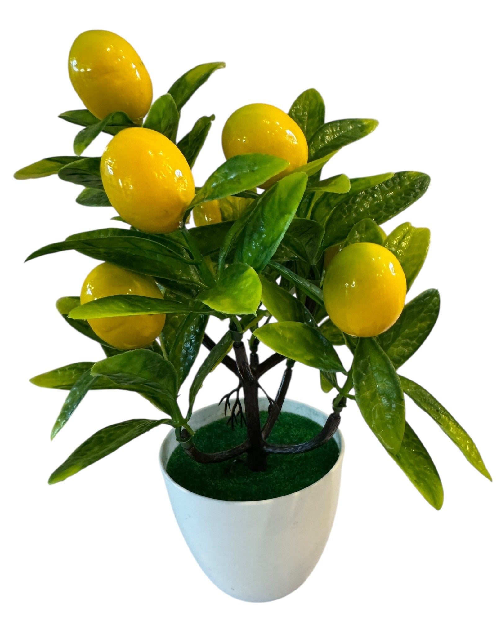 FL Mini lemon tree
