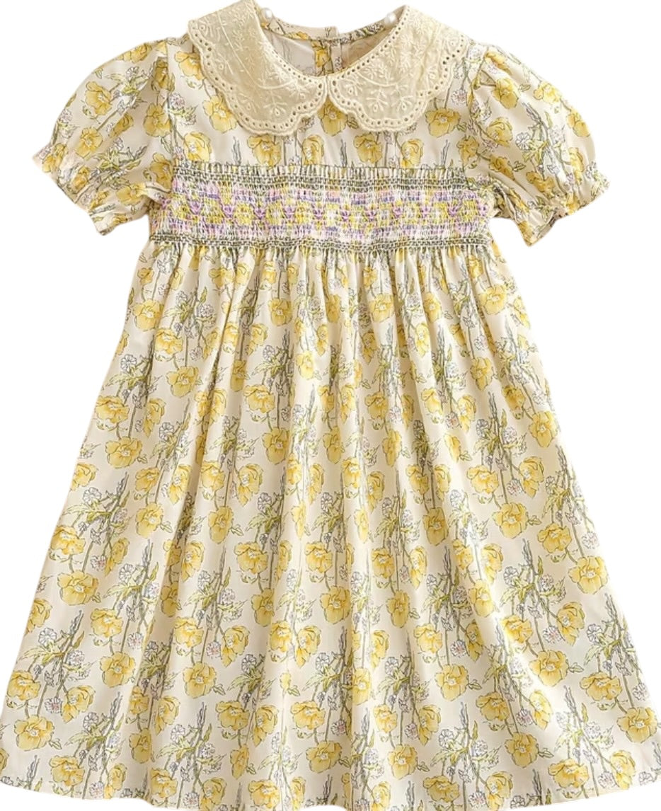 BT Peter pan collar dress embroidered
