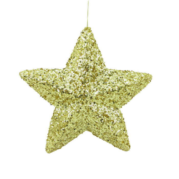 WSBeadedSequinBall/Star hanging
