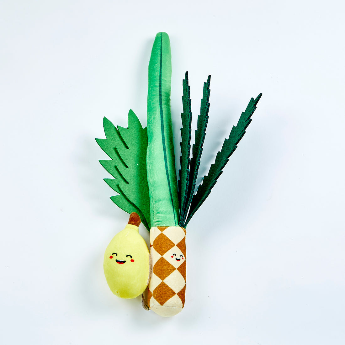 RL Soft lulav etrog set in bag