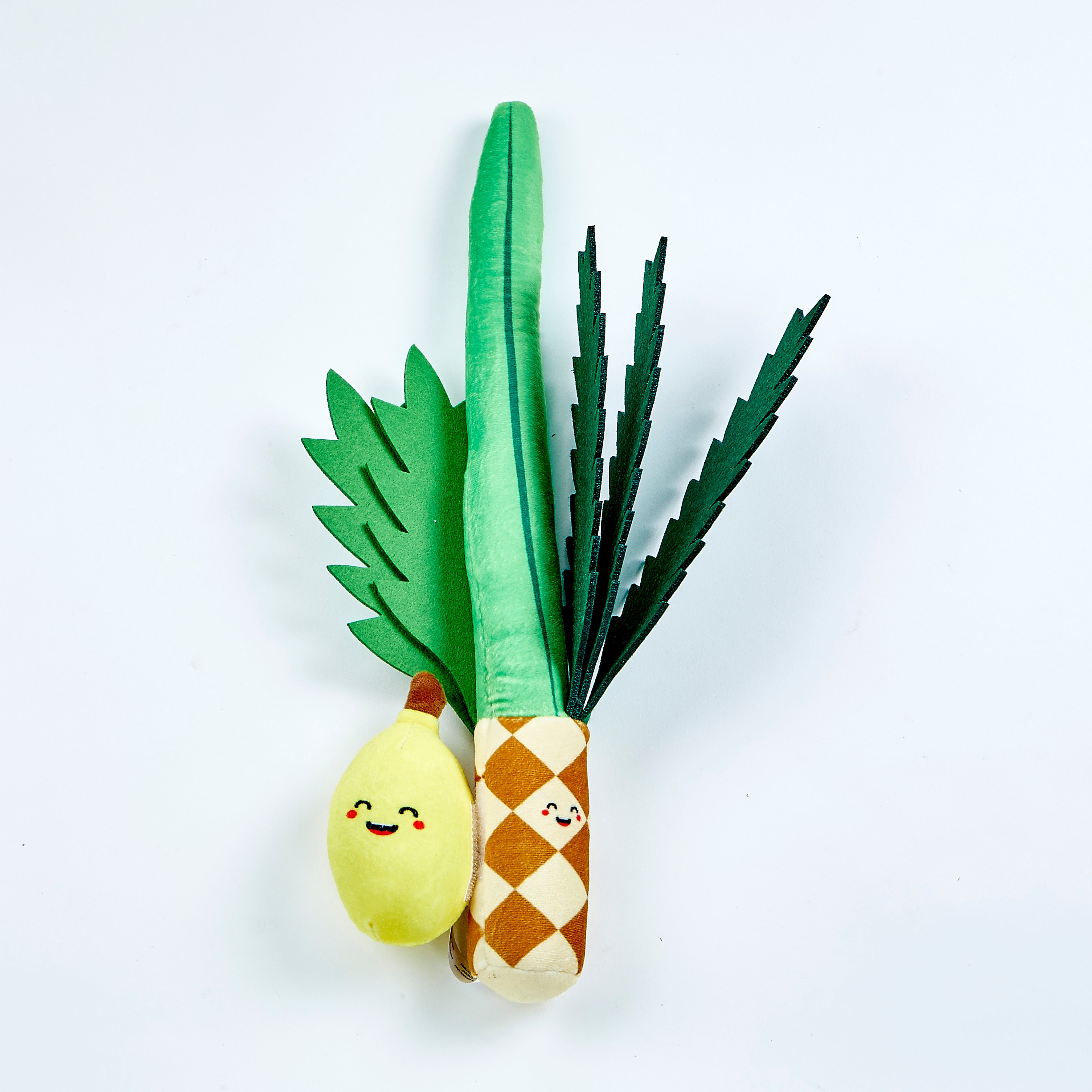 RL Soft lulav etrog set in bag